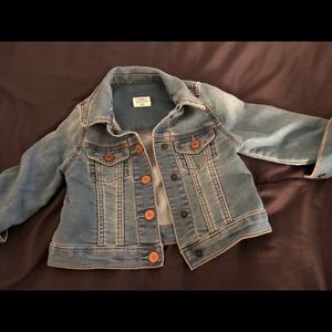 Baby Girls GAP Denim Jacket